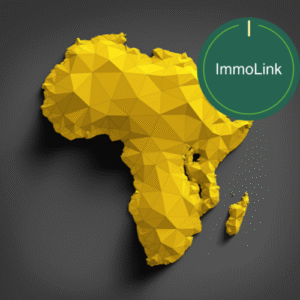 Monter un business imobilier en Afrique