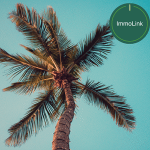 Conditions climatiques africaines immobilier