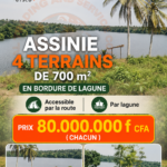 Assinie Mafia 4 terrains de 700m2 en bordure de lagune avec ACD