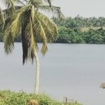 Terrain 15000m² Assinie pieds dans l&rsquo;eau