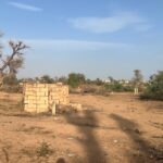 Terrains de 300 mètres carrés à vendre à Malicounda Sénégal