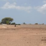 Terrain de 500 mètres carrés à vendre à Nguérigne Sénégal