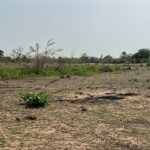 Terrains de 300 mètres carrés à vendre à Somone Sénégal