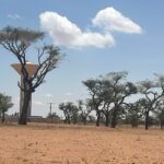 Terrain de 300 mètres carrés à vendre à Malicounda Sénégal