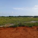 Terrain 1 hectare avec ACD en vente à ASSOUINDE
