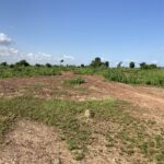 Parcelle nue de 250 m² à vendre à Ouaga 2000 (Ponsomtenga