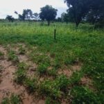 Belle opportunité à saisir – Terrain de 8 500 m² à vendre à Nioko