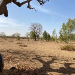 Terrain de 50 000 m² à vendre à Koubri